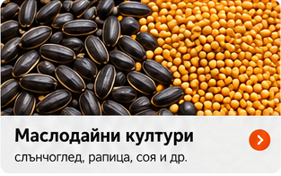 Семена и маслодайни култури, Сортиране, почистване, калибриране, Сортиране на селскостопански продукти, СортБГ ООД, SortBG Ltd., внос о сервиз, фото, сепаратори, калибратори, сортиращи, почистващи, сепаратори