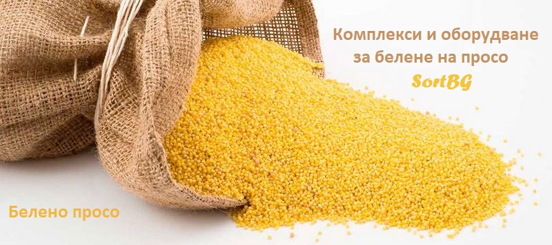 белено просо
